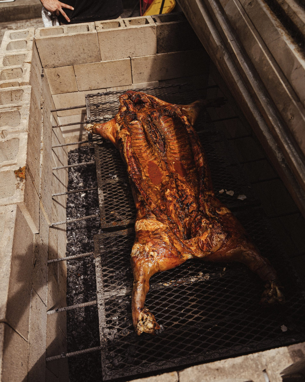 Whole hog on the pit